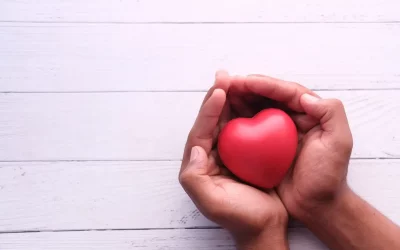 Explorando el Corazón: El Impacto Profundo de las Neuritas Sensoriales.
